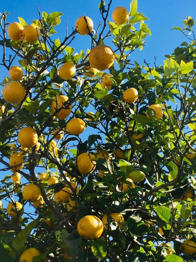 Jávea Finca Bona Nit מראה חיצוני תמונה