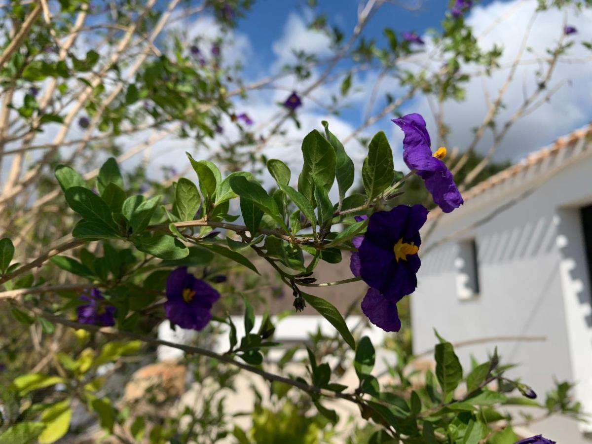 Jávea Finca Bona Nit מראה חיצוני תמונה